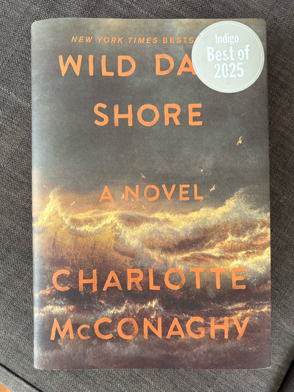 Wild Day Shore by Charlotte McConaghy - Orange & Dark Teal Cover